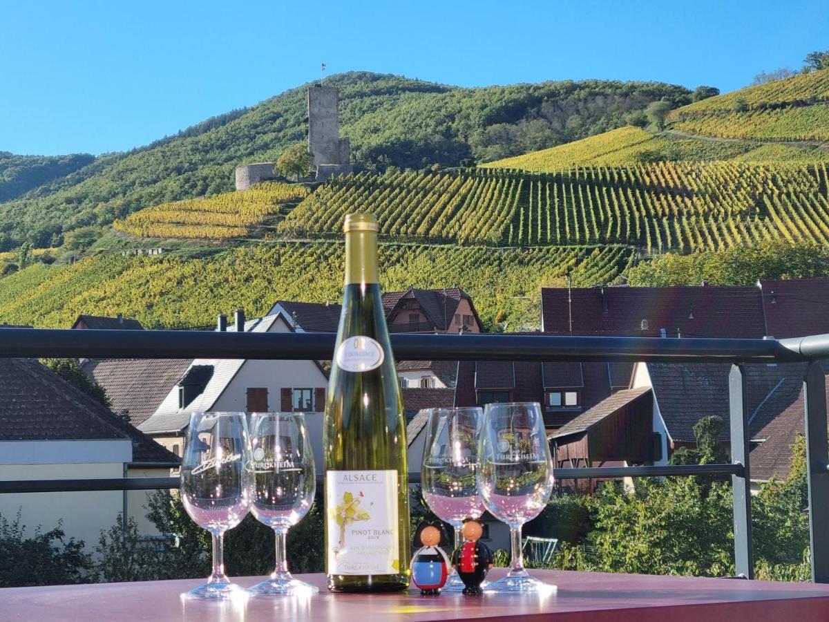 Gites Les Terrasses Du Wineck Katzenthal Bagian luar foto