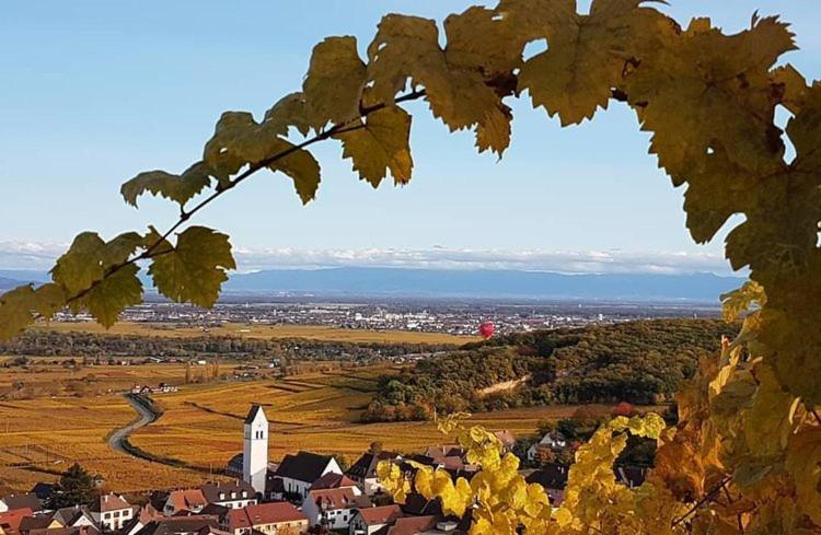 Gites Les Terrasses Du Wineck Katzenthal Bagian luar foto