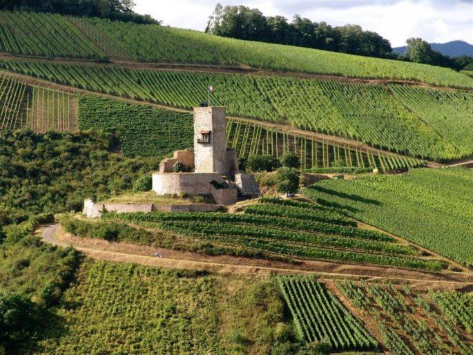 Gites Les Terrasses Du Wineck Katzenthal Bagian luar foto