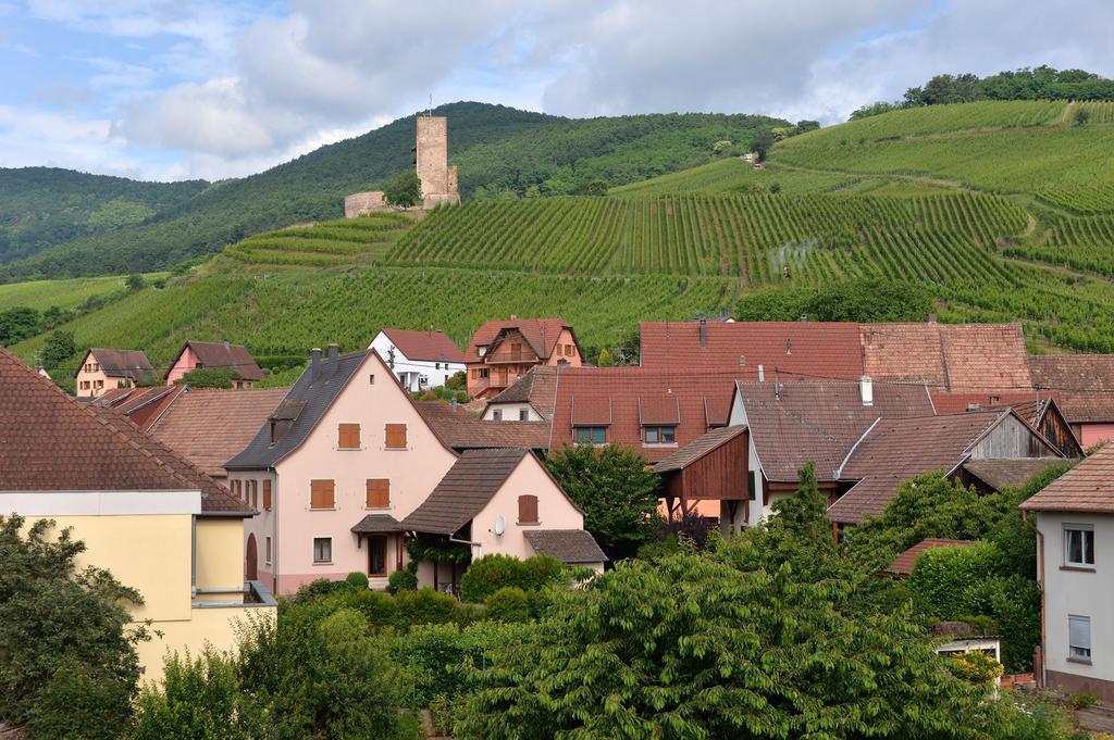 Gites Les Terrasses Du Wineck Katzenthal Bagian luar foto